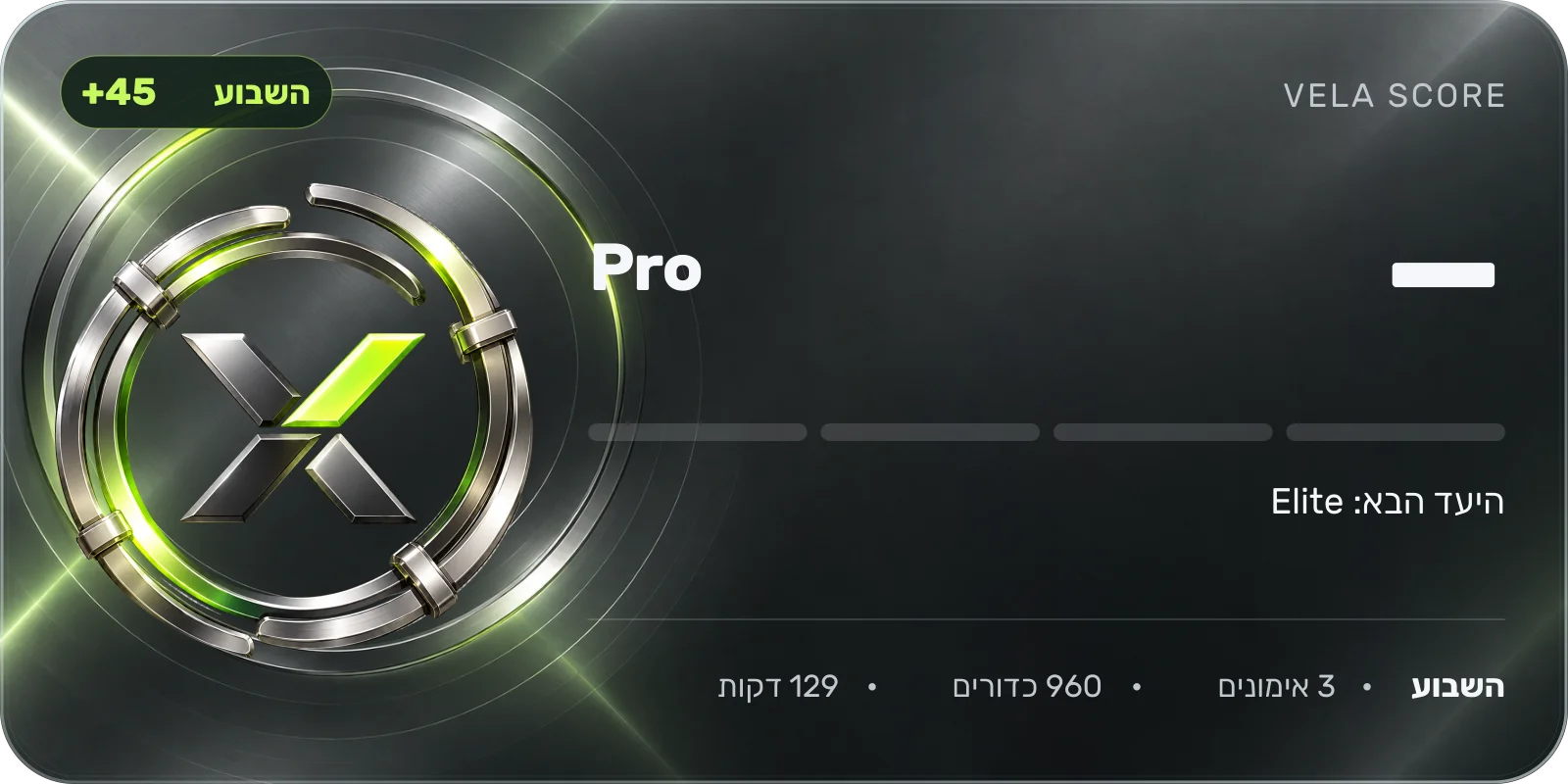 כרטיס הדרגה Pro
